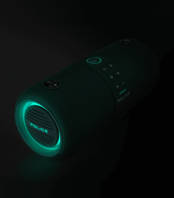 Cargar imagen en el visor de la galería, PEVCM0000203_04