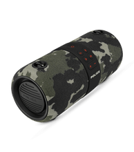 Cargar imagen en el visor de la galería, PEVCM0000204_03