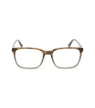 Cargar imagen en el visor de la galería, VPLN81 550GG6_01