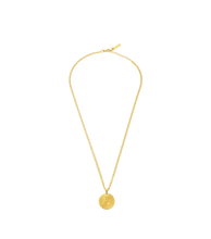 Carica l'immagine nel visualizzatore di Gallery, PEAGN0009602_01