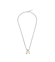 Cargar imagen en el visor de la galería, PEAGN0032702_01