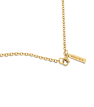 Carica l'immagine nel visualizzatore di Gallery, PEAGN0033703_03