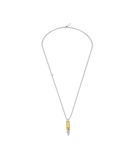 Carica l'immagine nel visualizzatore di Gallery, PEAGN0034103_01