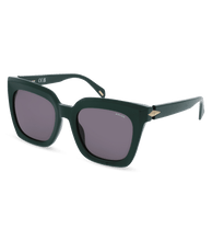 Charger l'image dans la galerie, SPLL99 530D80_02