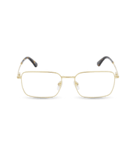 Lade das Bild in den Galerie-Viewer, VPLG69 530300_01