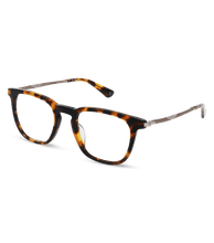 Lade das Bild in den Galerie-Viewer, VPLL66 500C10_02